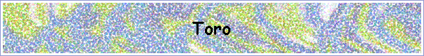  Toro 